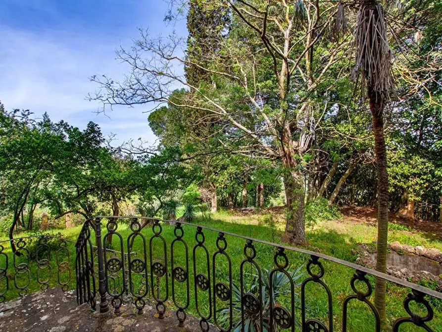 Immagine 27 di Villa in vendita  a San Miniato