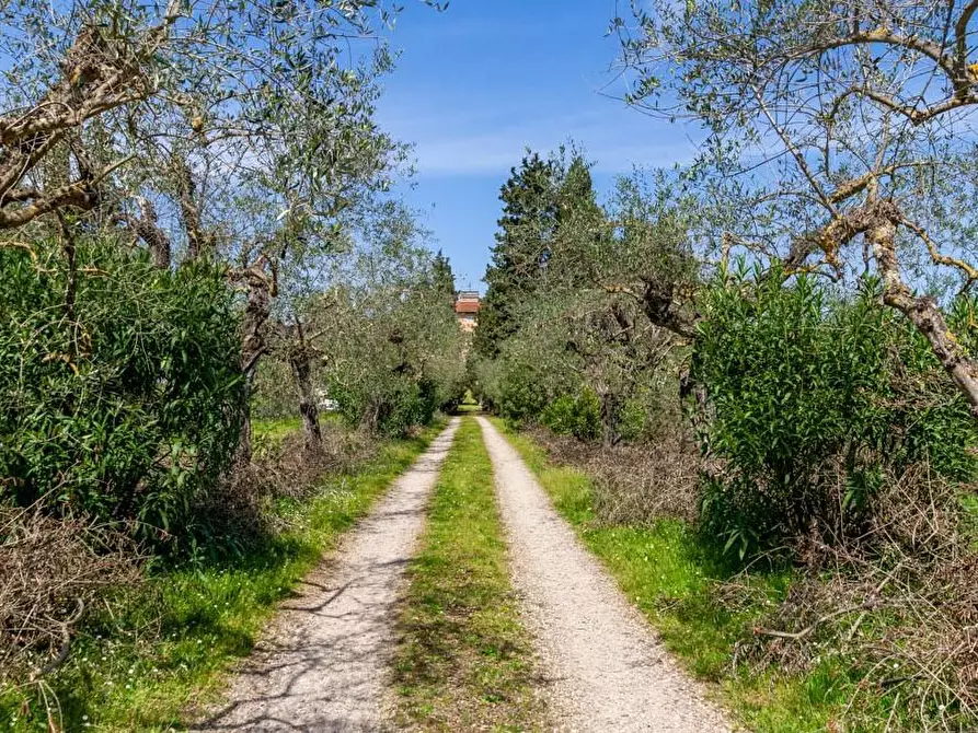 Immagine 68 di Villa in vendita  a San Miniato