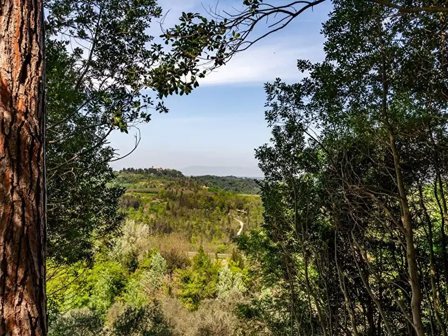 Immagine 66 di Villa in vendita  a San Miniato