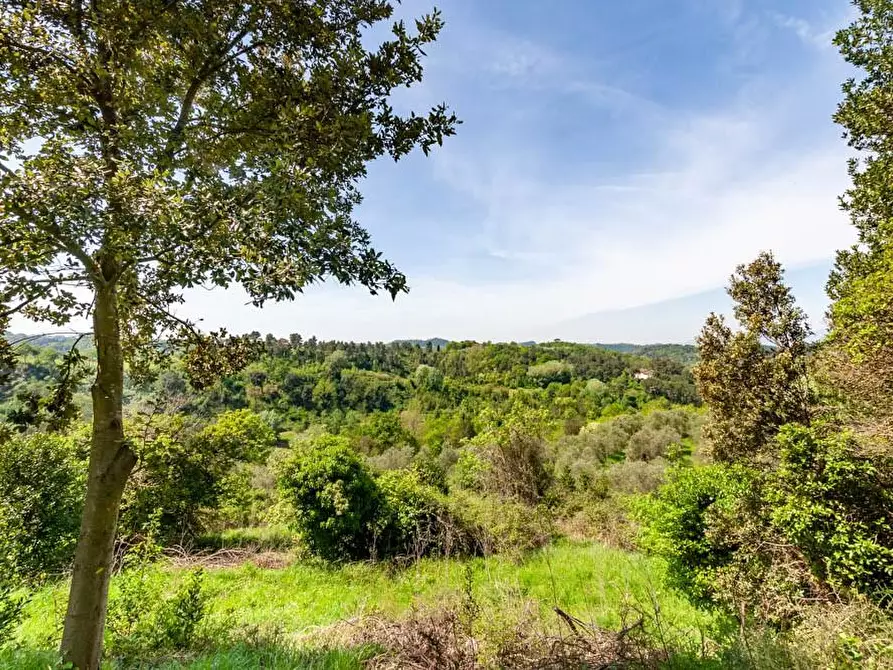 Immagine 65 di Villa in vendita  a San Miniato