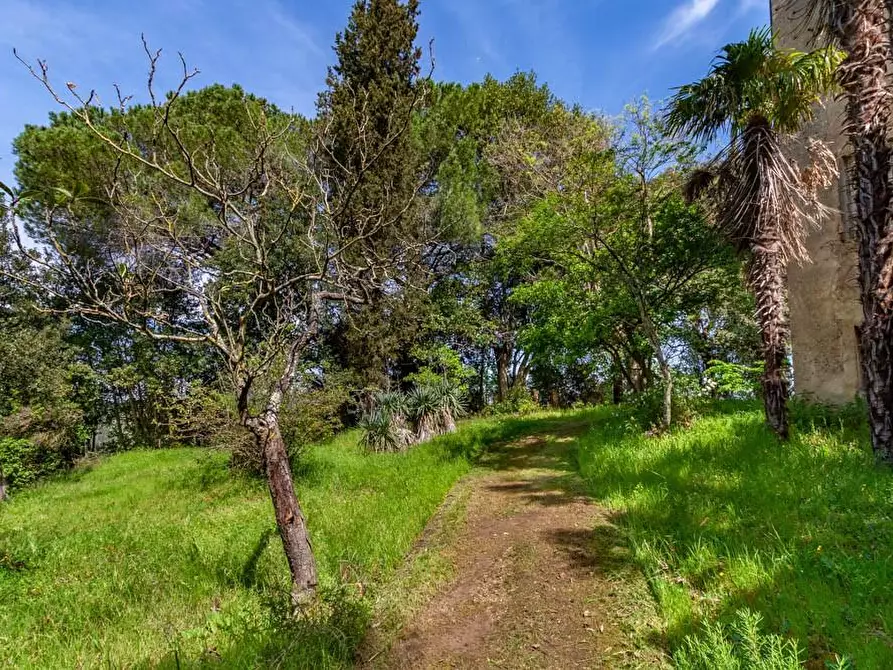 Immagine 57 di Villa in vendita  a San Miniato