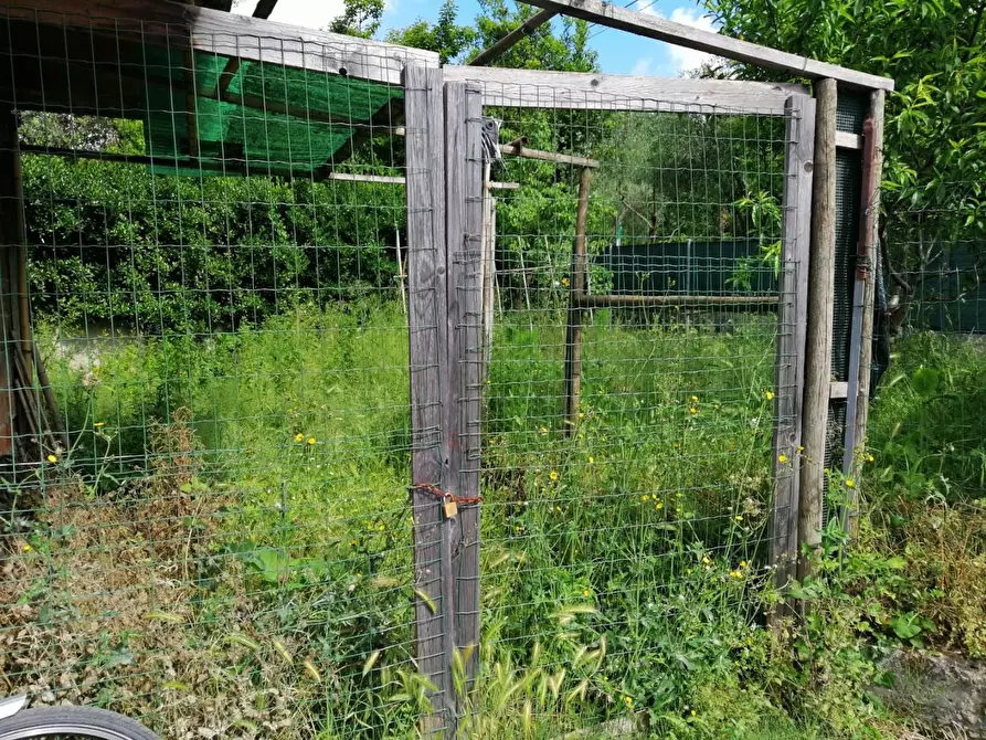 Immagine 4 di Rustico / casale in vendita  a Massa