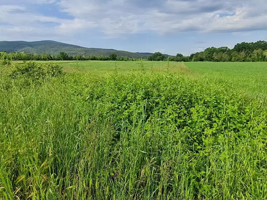 Immagine 1 di Terreno agricolo in vendita  a Monteriggioni