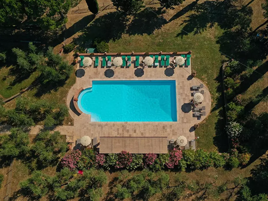 Immagine 4 di Agriturismo in vendita  a Peccioli