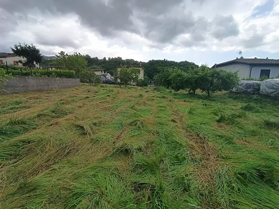 Immagine 2 di Terreno residenziale in vendita  a Coreglia Antelminelli