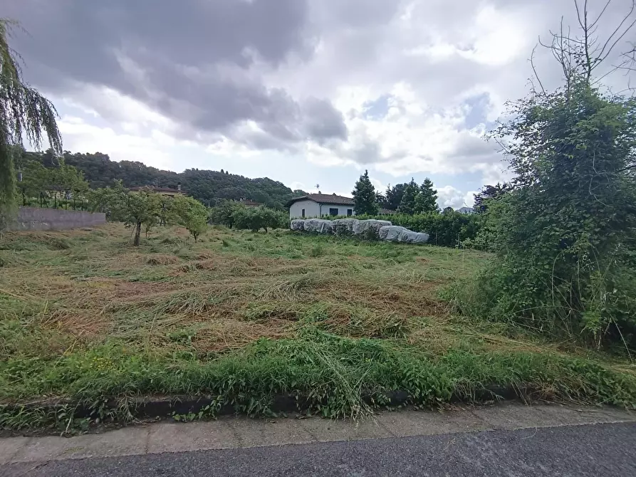 Immagine 3 di Terreno residenziale in vendita  a Coreglia Antelminelli