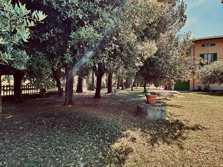 Immagine 6 di Villa in vendita  a Fucecchio