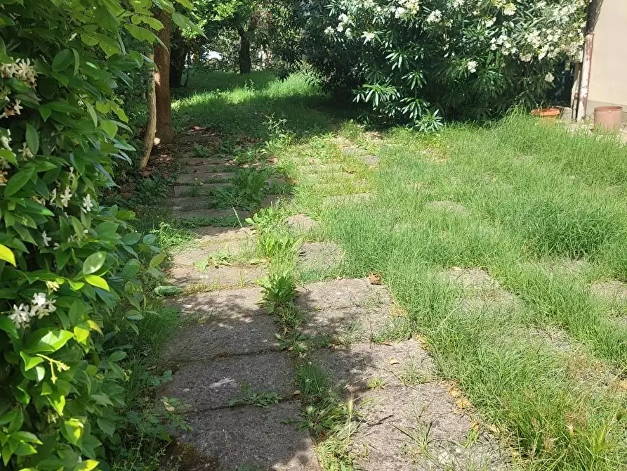 Immagine 3 di Appartamento in vendita  a Castelfranco Di Sotto