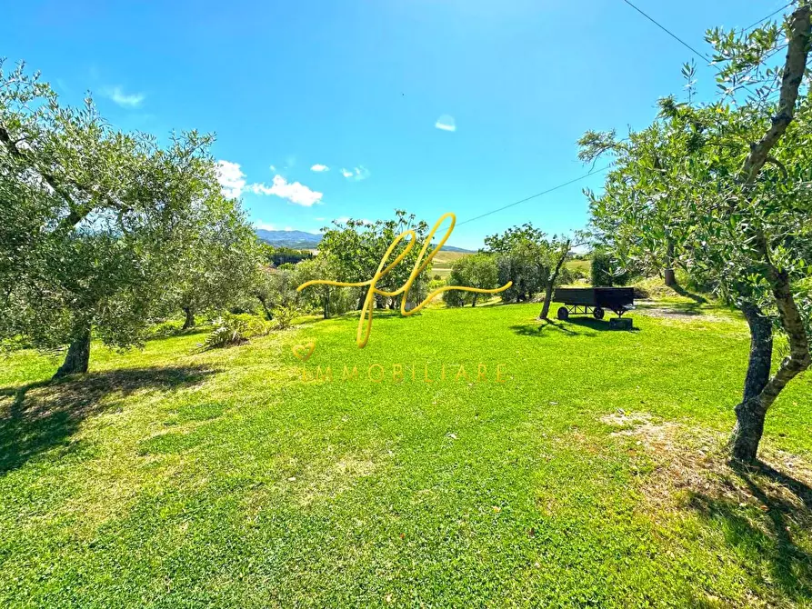 Immagine 24 di Villa in vendita  a Castellina Marittima