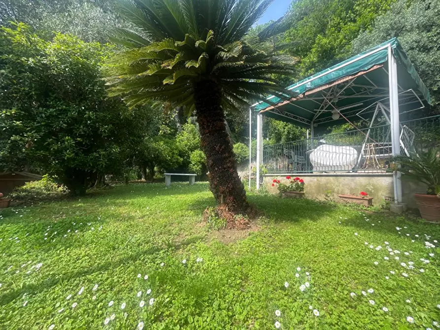 Immagine 4 di Casa bifamiliare in vendita  a Massa