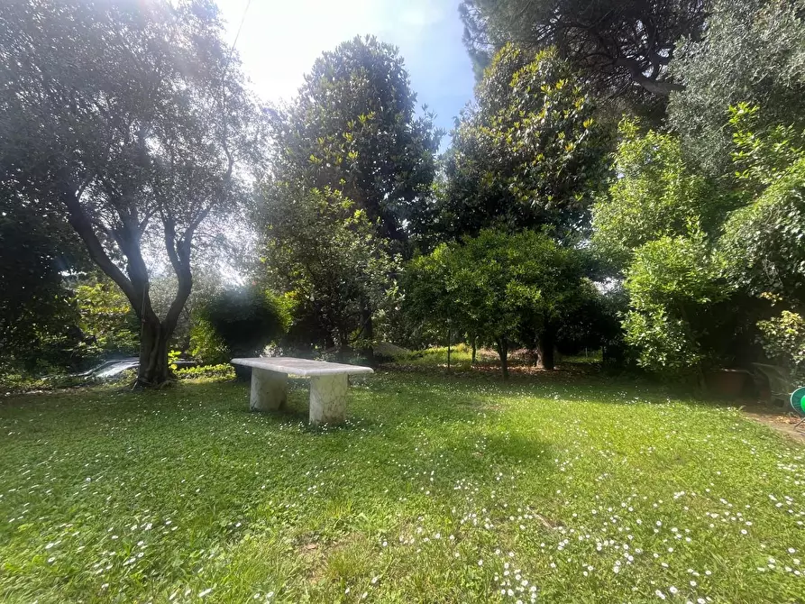 Immagine 5 di Casa bifamiliare in vendita  a Massa