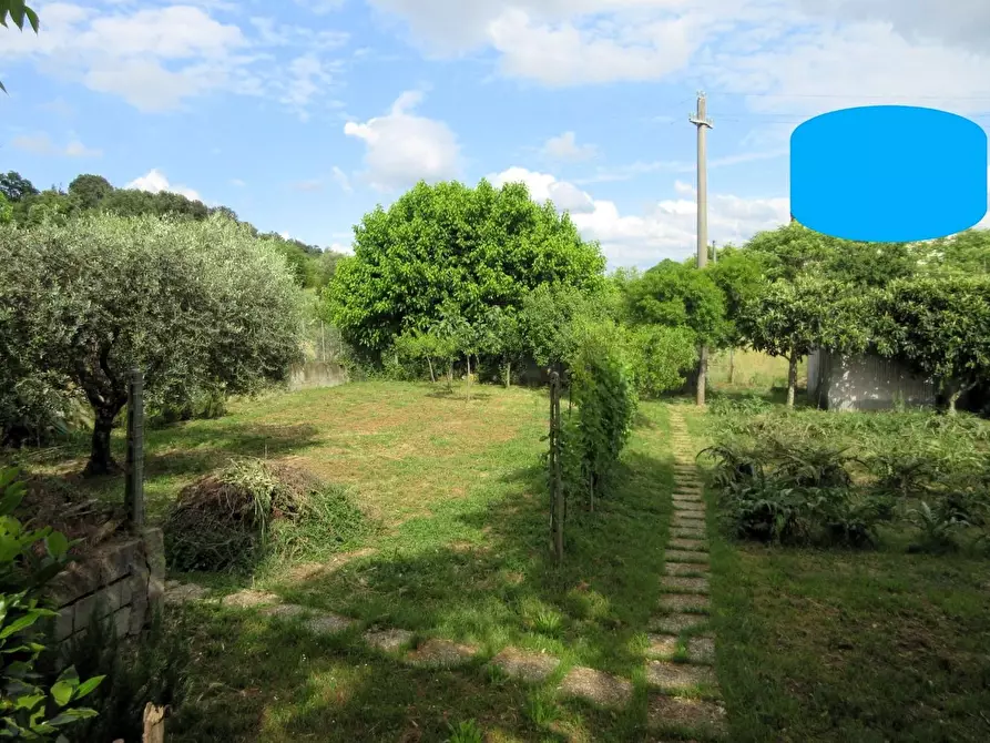 Immagine 8 di Villa in vendita  a Cerreto Guidi