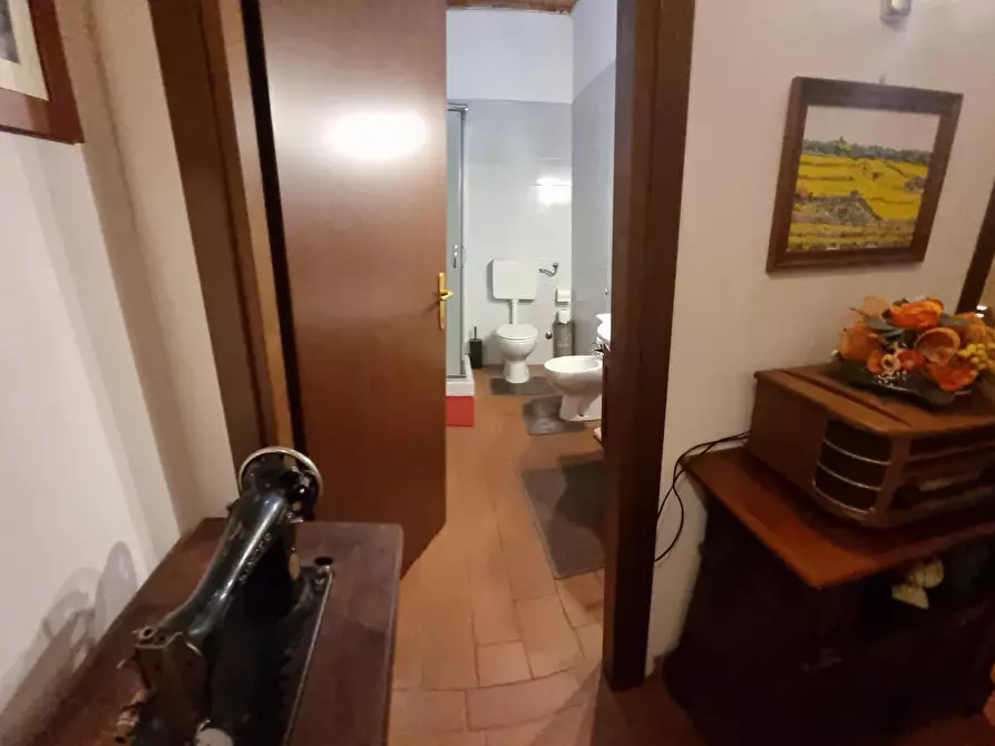 Immagine 29 di Appartamento in vendita  a Crespina Lorenzana