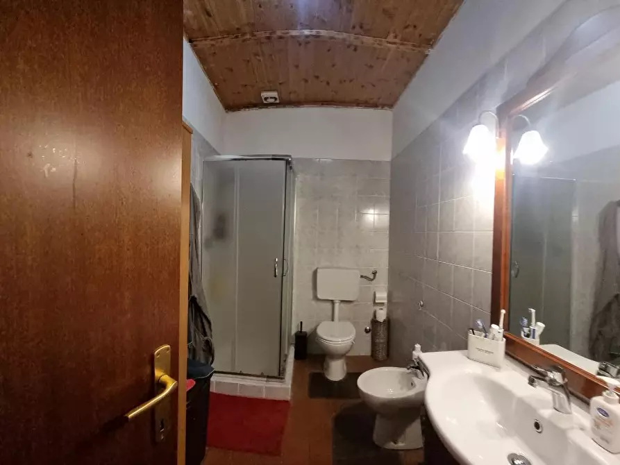 Immagine 21 di Appartamento in vendita  a Crespina Lorenzana