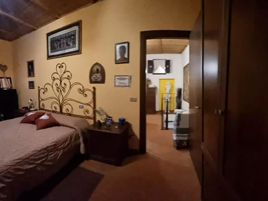 Immagine 26 di Appartamento in vendita  a Crespina Lorenzana