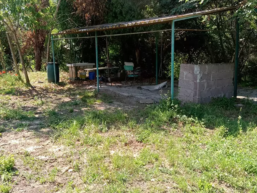 Immagine 6 di Terreno agricolo in vendita  a Crespina Lorenzana