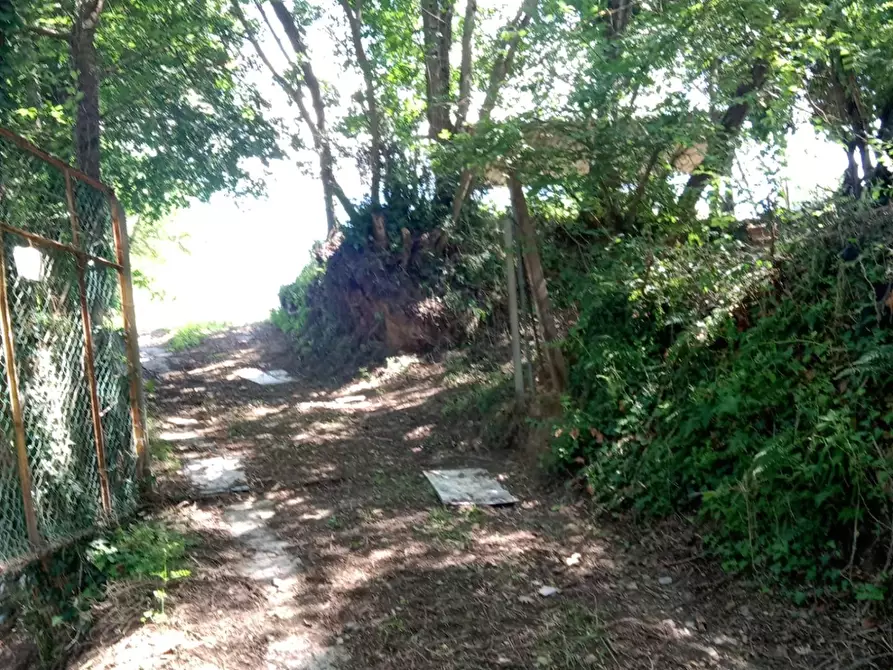 Immagine 1 di Terreno agricolo in vendita  a Crespina Lorenzana