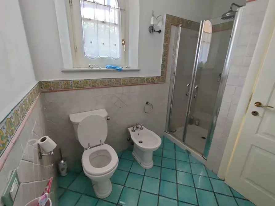 Immagine 15 di Villa in vendita  a Massa