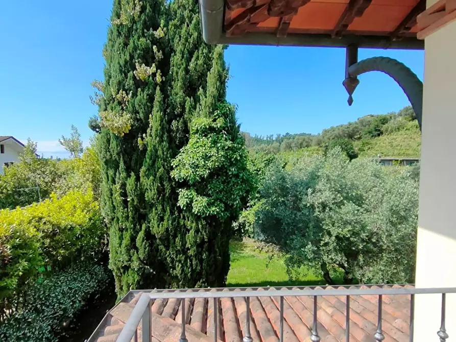 Immagine 17 di Villa in vendita  a Massa
