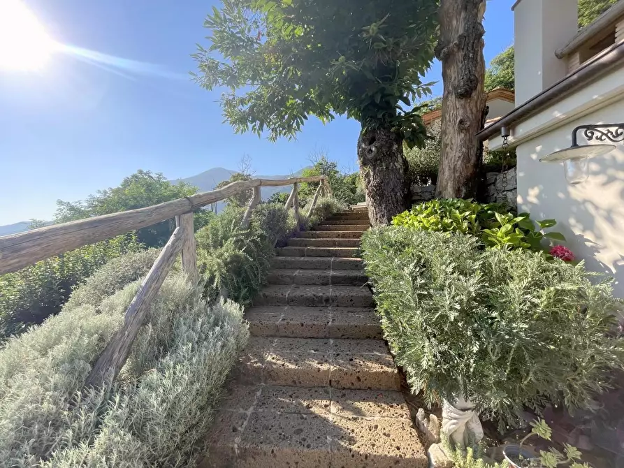 Immagine 65 di Casa indipendente in vendita  a Camaiore