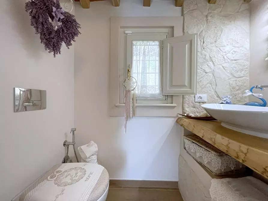 Immagine 34 di Casa indipendente in vendita  a Camaiore