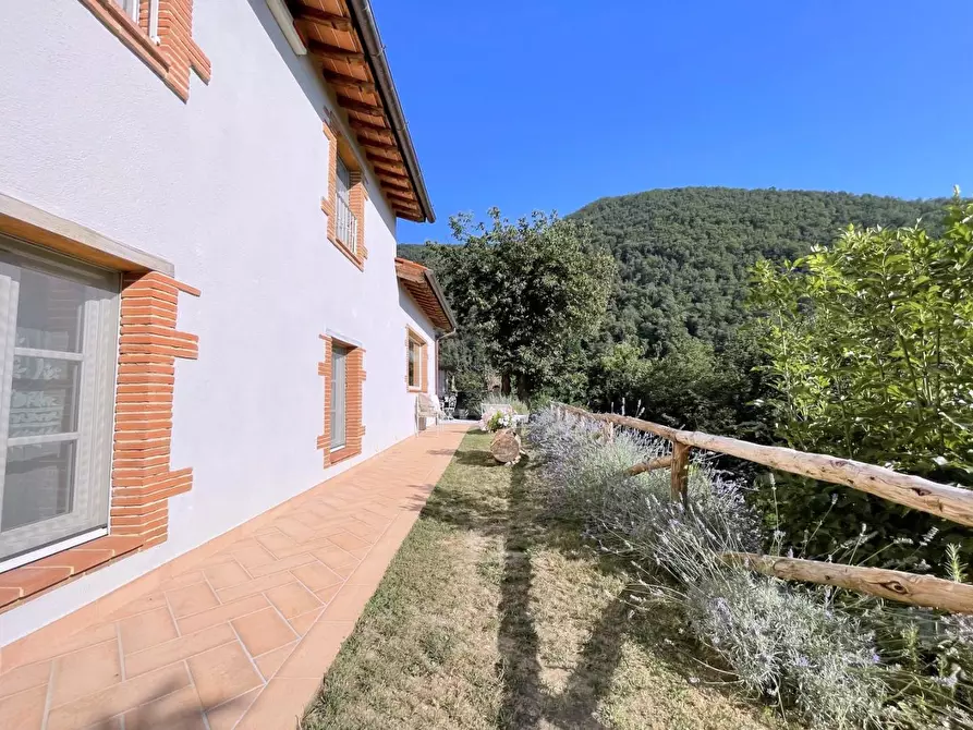 Immagine 49 di Casa indipendente in vendita  a Camaiore