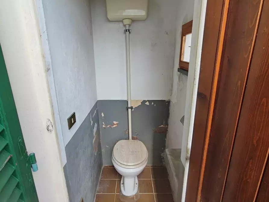 Immagine 26 di Terratetto in vendita  a Palaia