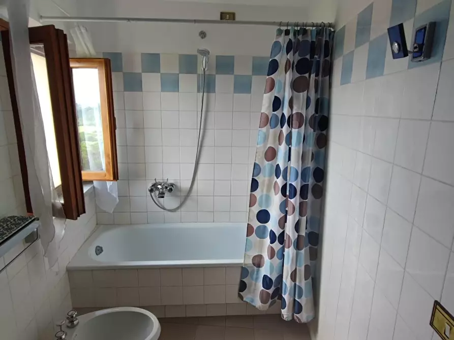 Immagine 22 di Terratetto in vendita  a Palaia