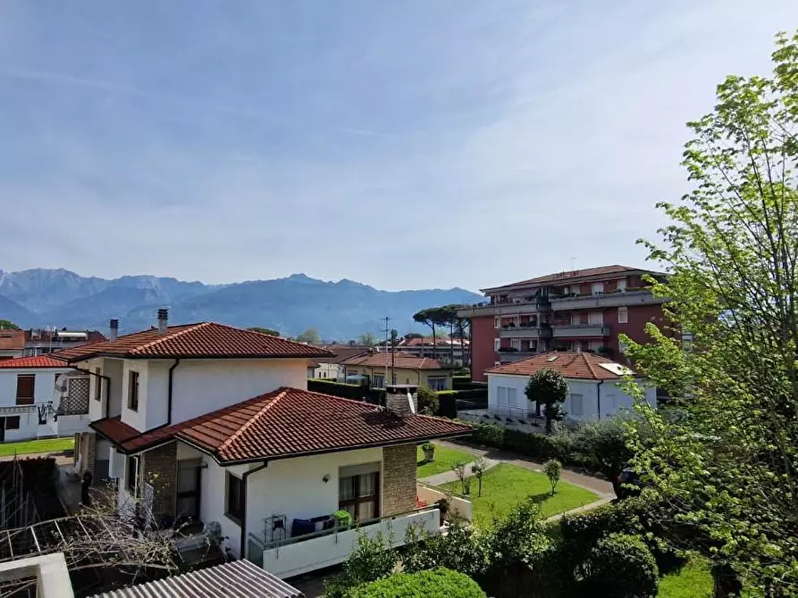 Immagine 18 di Appartamento in vendita  a Massa