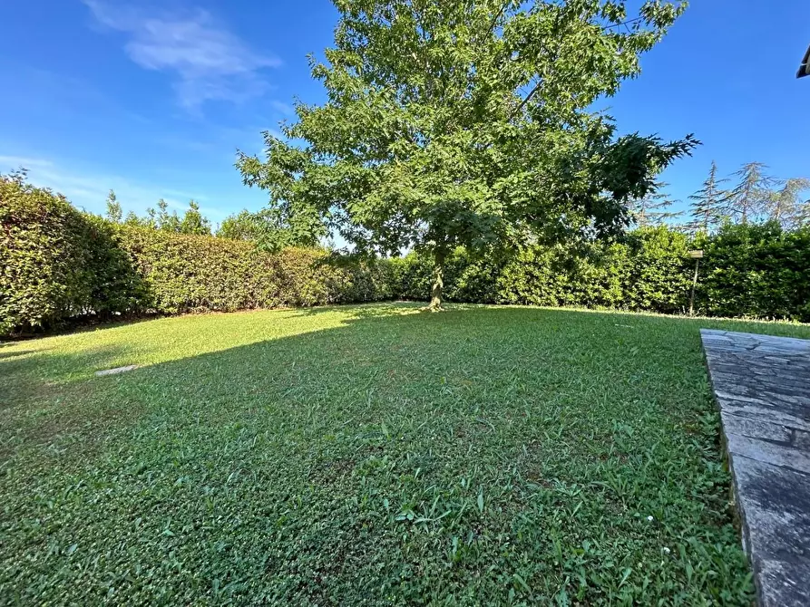 Immagine 3 di Villa in vendita  a Montelupo Fiorentino