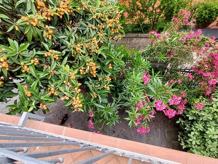 Immagine 21 di Casa indipendente in vendita  a Carrara