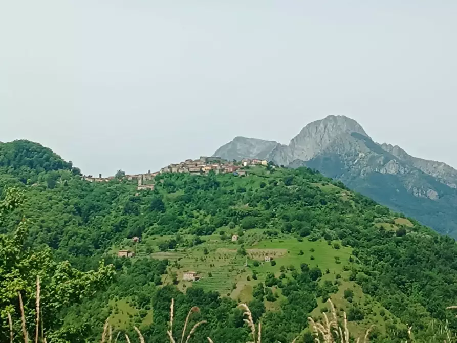 Immagine 23 di Terratetto in vendita  a Gallicano