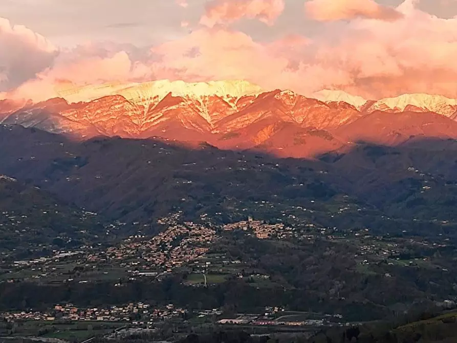 Immagine 26 di Terratetto in vendita  a Gallicano