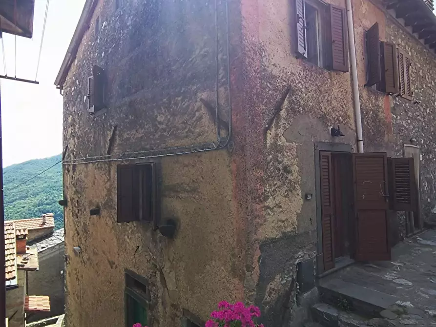 Immagine 4 di Terratetto in vendita  a Gallicano