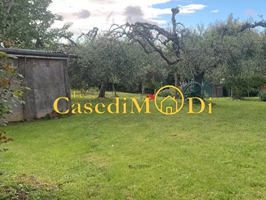 Immagine 6 di Terreno agricolo in vendita  a Livorno