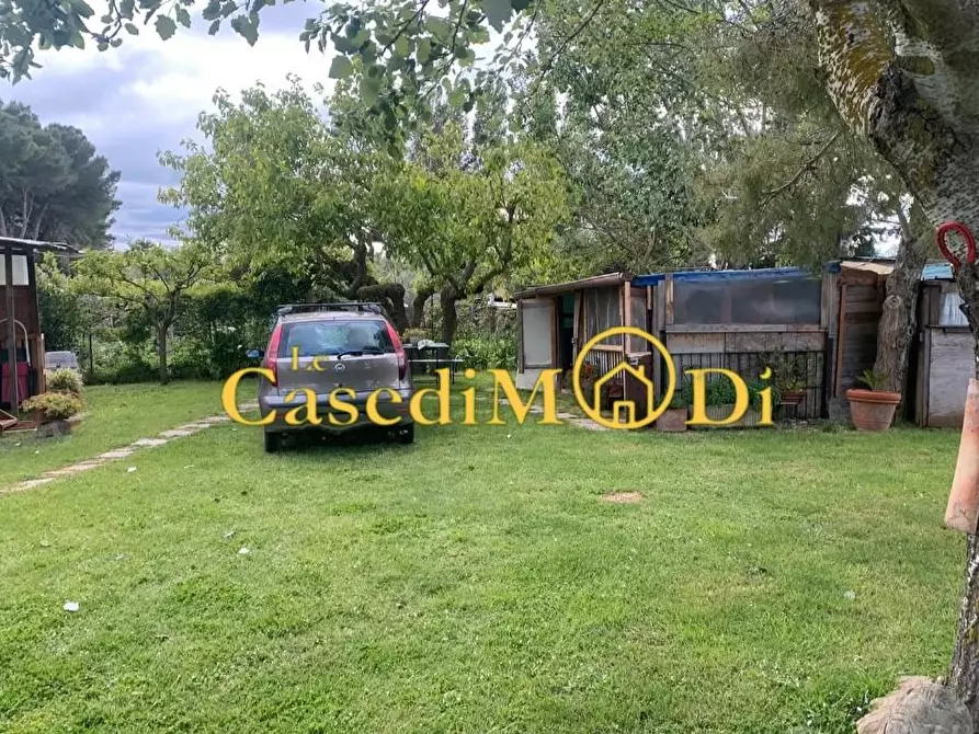 Immagine 7 di Terreno agricolo in vendita  a Livorno