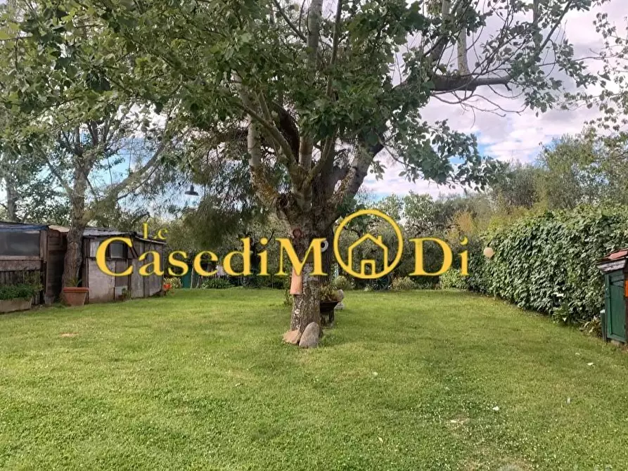 Immagine 4 di Terreno agricolo in vendita  a Livorno