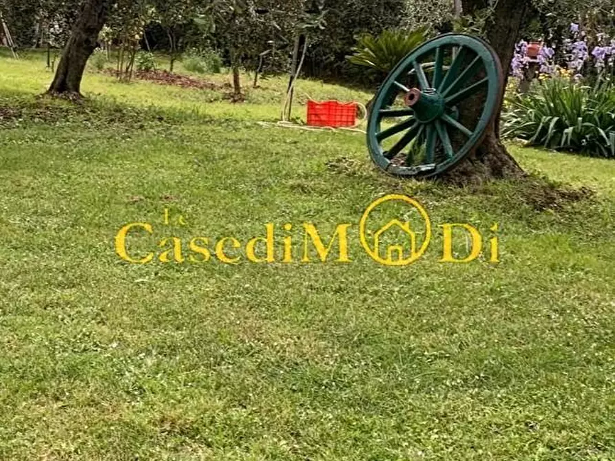 Immagine 2 di Terreno agricolo in vendita  a Livorno