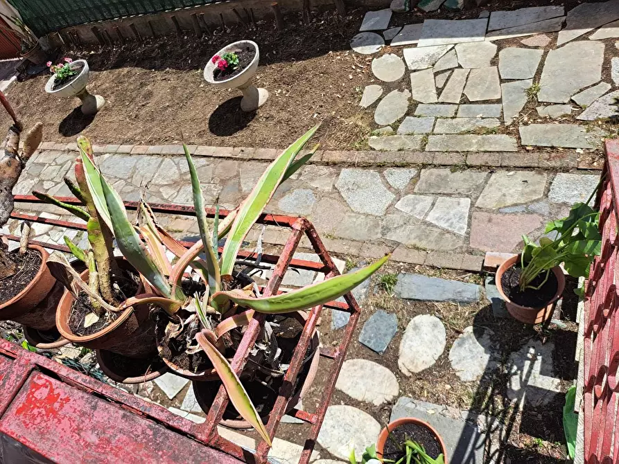 Immagine 13 di Appartamento in vendita  a Carrara