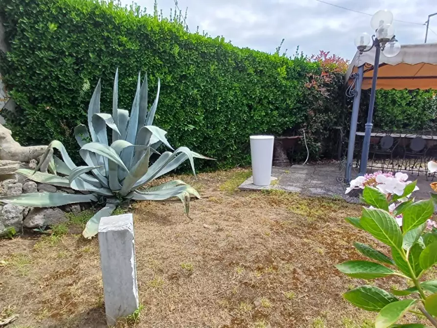 Immagine 17 di Casa semindipendente in vendita  a Massa