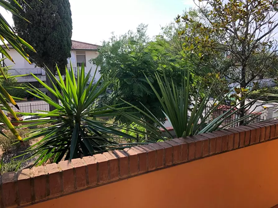 Immagine 21 di Casa indipendente in vendita  a Peccioli