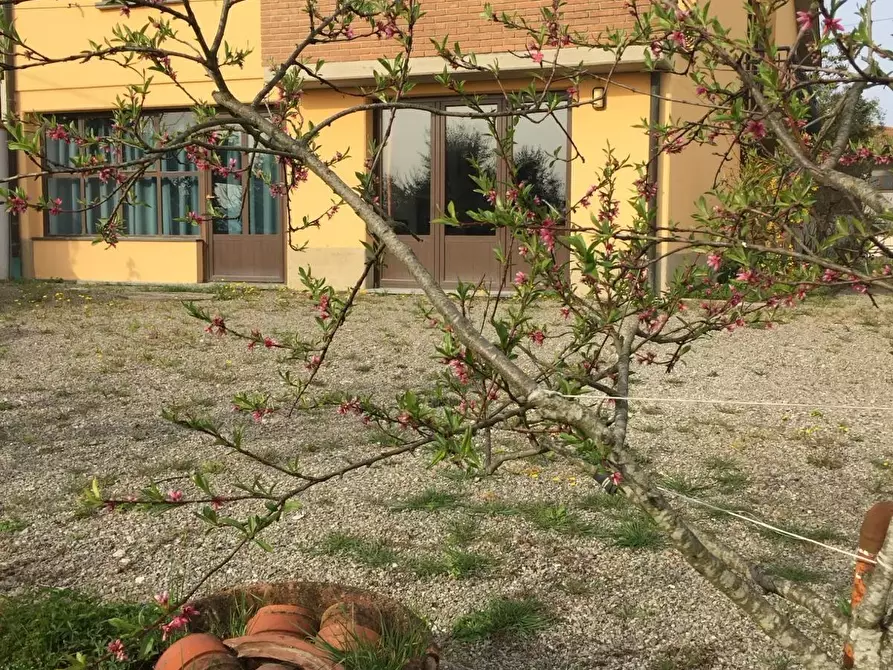 Immagine 2 di Casa indipendente in vendita  a Peccioli