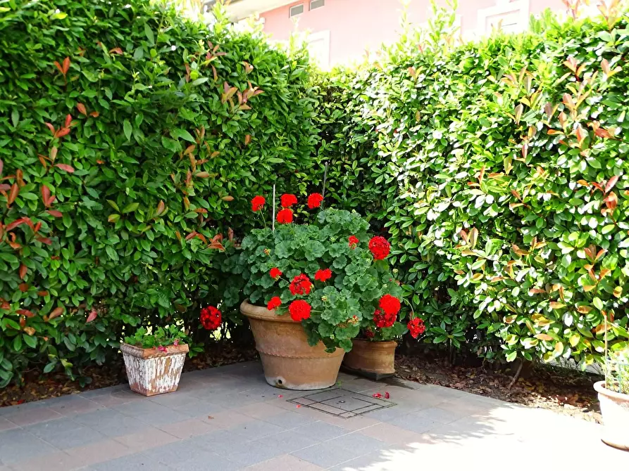 Immagine 52 di Villa in vendita  a San Miniato