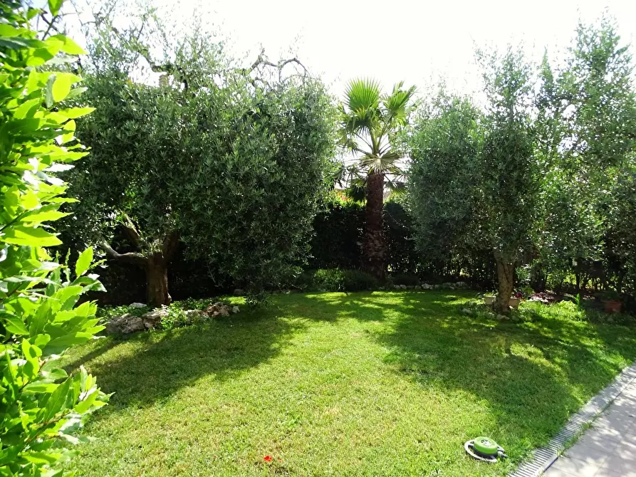 Immagine 3 di Villa in vendita  a San Miniato