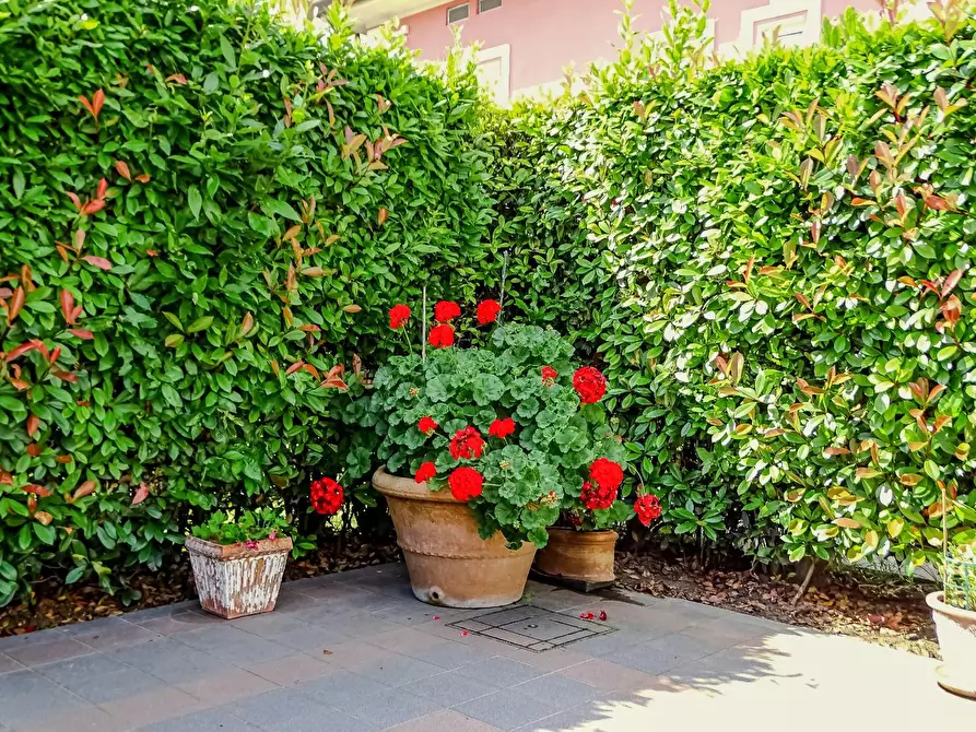 Immagine 43 di Villa in vendita  a San Miniato