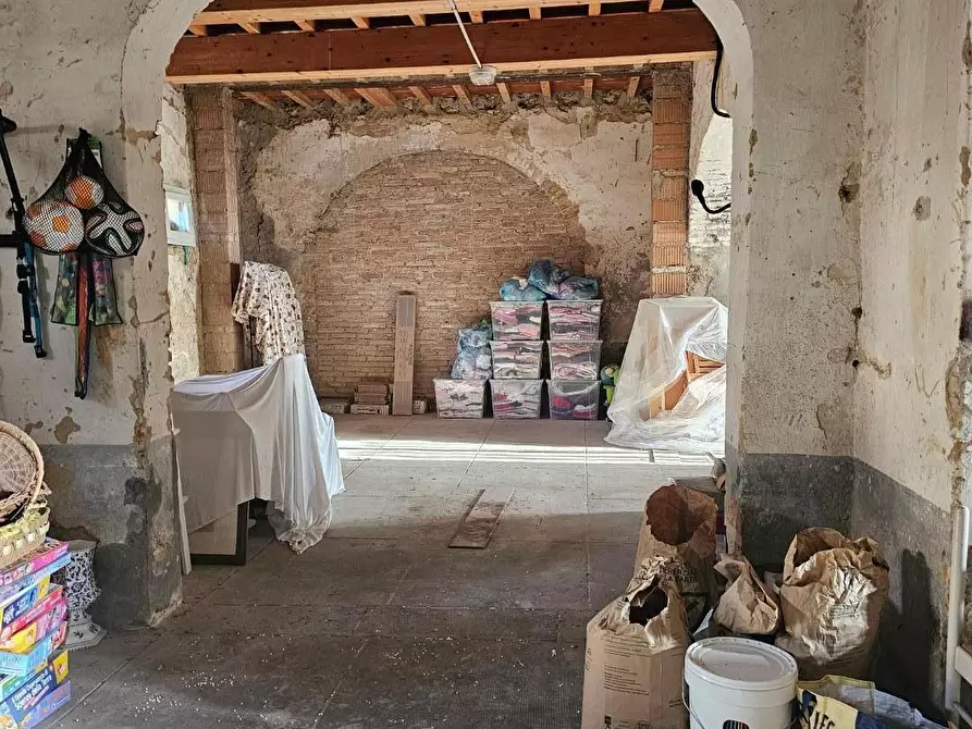 Immagine 26 di Terratetto in vendita  a Fauglia