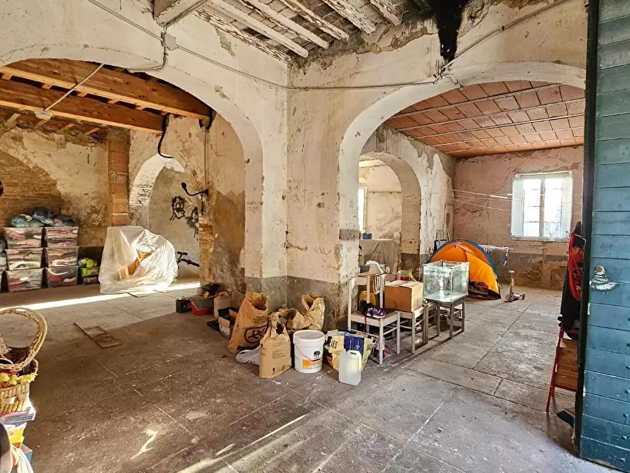 Immagine 33 di Terratetto in vendita  a Fauglia