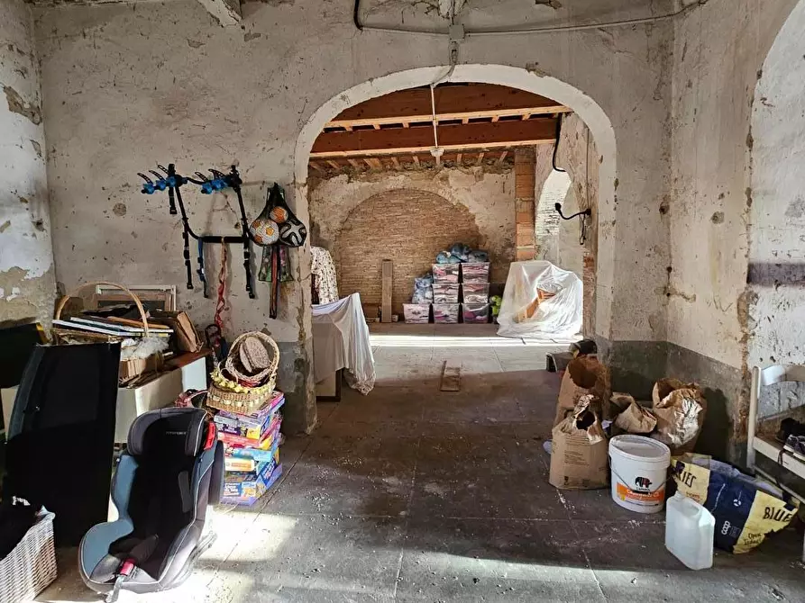 Immagine 25 di Terratetto in vendita  a Fauglia