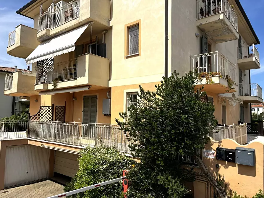 Immagine 18 di Appartamento in vendita  a Rosignano Marittimo