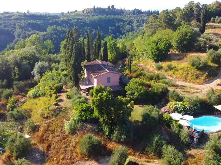 Immagine 28 di Casa colonica in vendita  a San Miniato